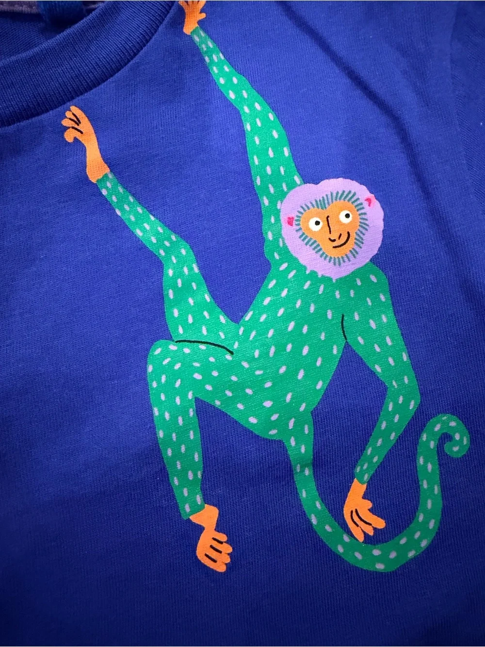 Mini Boden Blue Top and Green Animal Patch Shorts